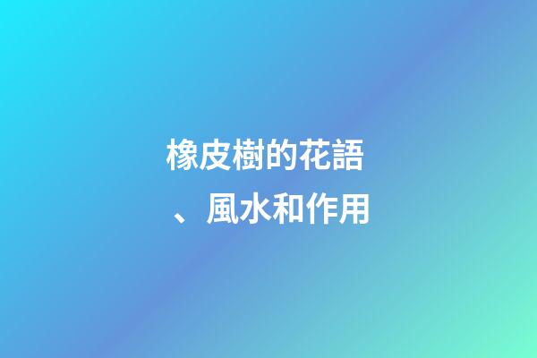 橡皮樹的花語、風水和作用